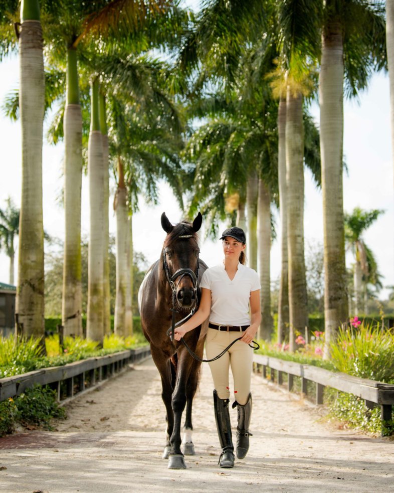 eaSt R2 Performance Dressage - almond