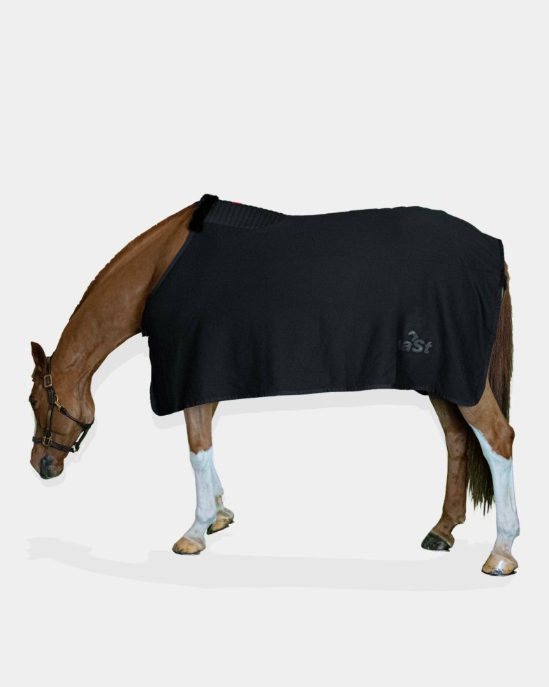 eaSt Jersey Rug Pro - black