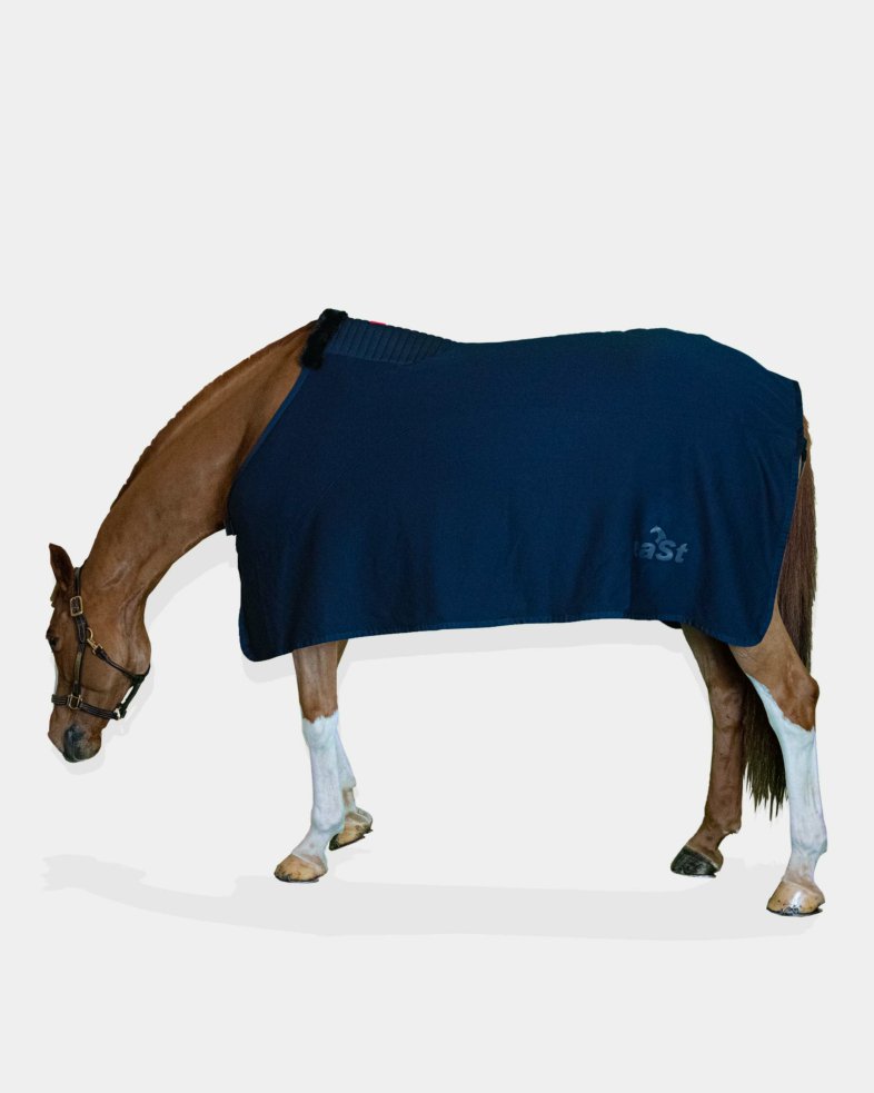 eaSt Jersey Rug Pro - midnight blue