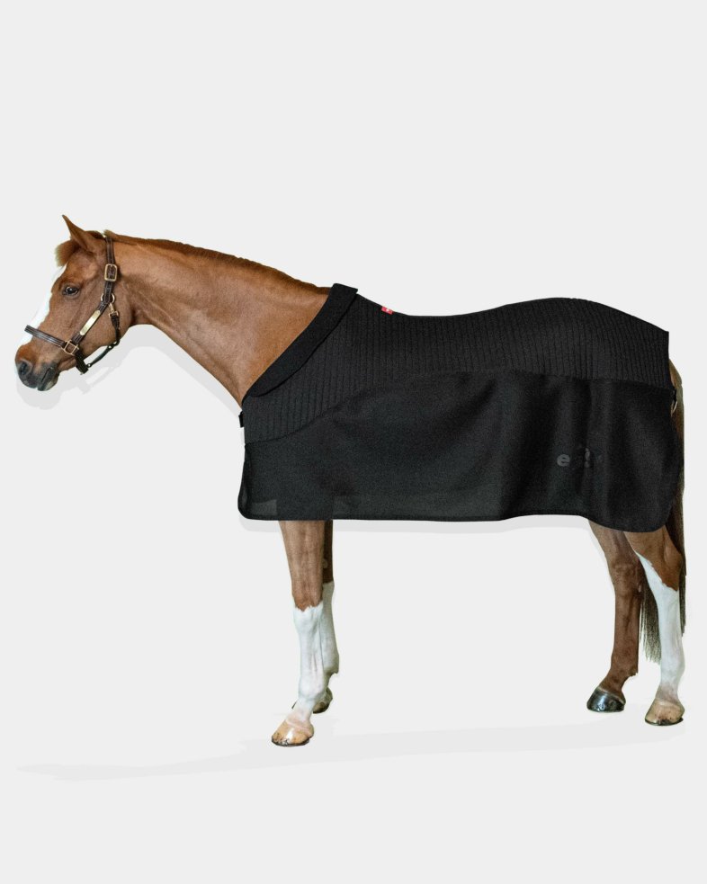 eaSt Transport Rug Pro - black