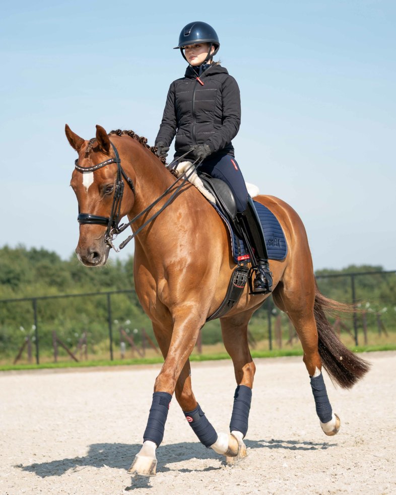 eaSt Jacket Performance Insulation - black