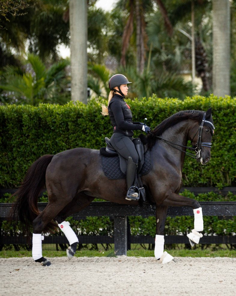 eaSt Performance Insulation Vest - black 