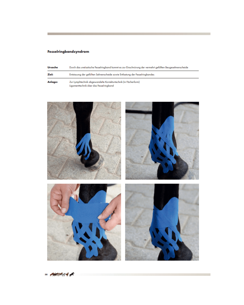 Buch Kinesiotaping