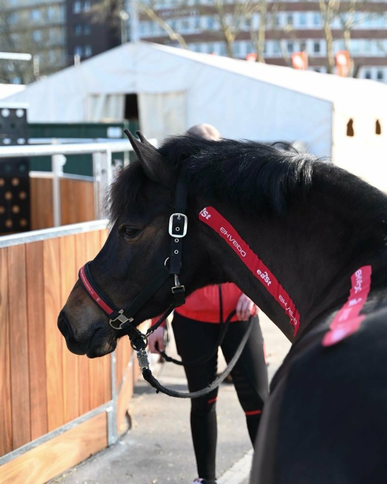 eaSt Kinesio Tape - 1 Roll