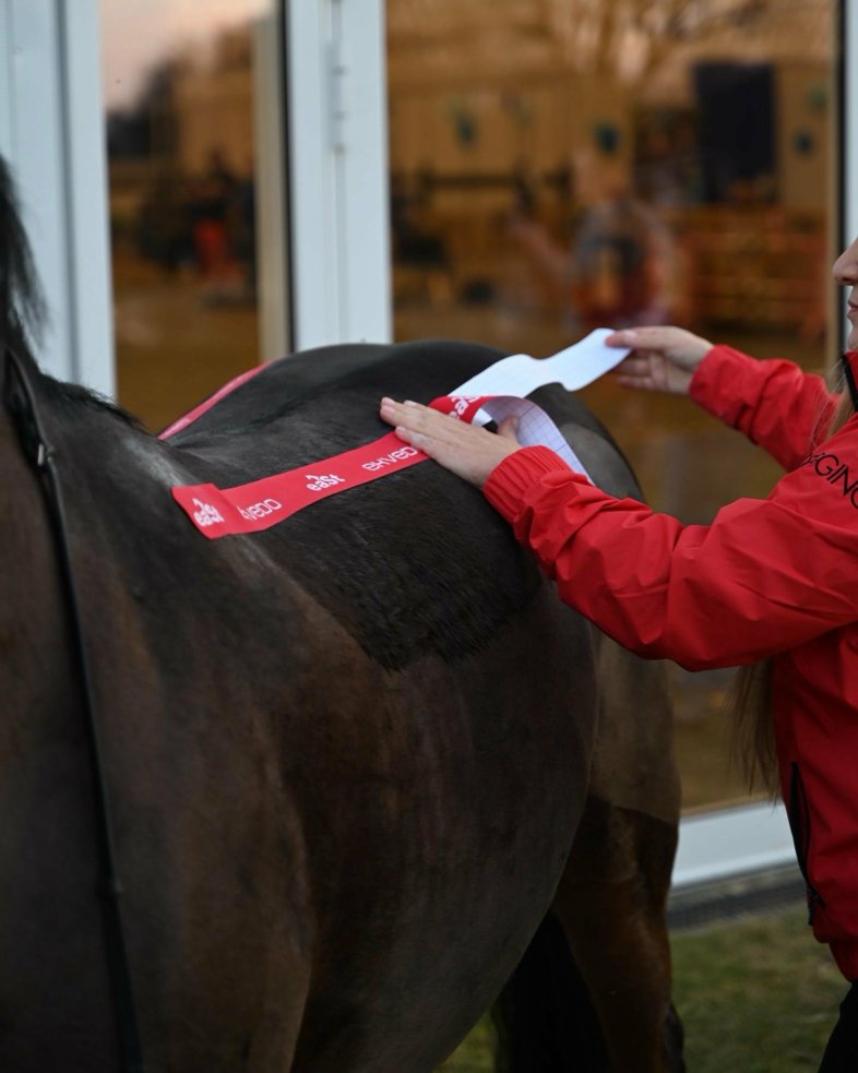 eaSt Kinesio Tape - 1 Roll