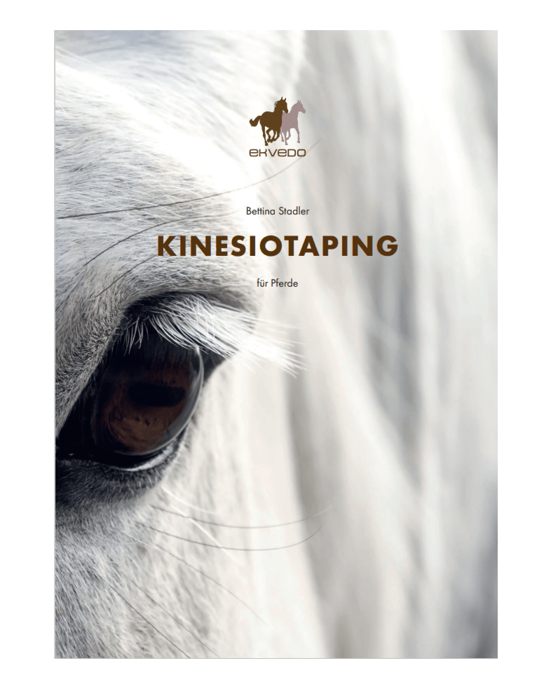 Buch Kinesiotaping
