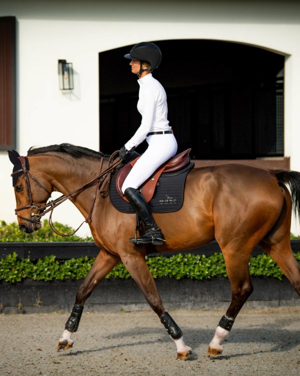 Outfit: Saddle Pad Pro + Ear Net Pro +  R2 Performance + Competition Shirt Classic