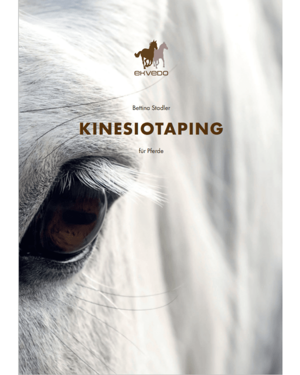 Buch Kinesiotaping
