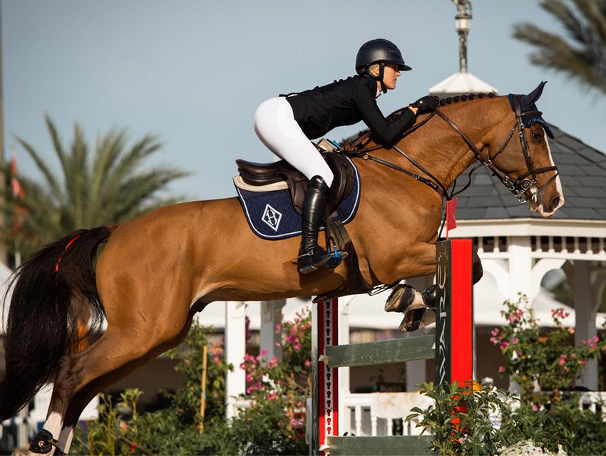 Reithosen mit Grip: Welcher Halt passt zu dir und deinem Pferd?