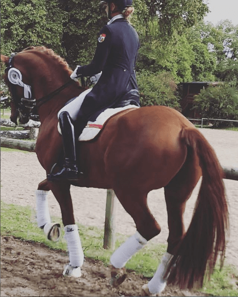 Grand Prix Dressurreiterin erklärt: Mit dieser Reithose wird Dressur Reiten noch sportlicher und bequemer