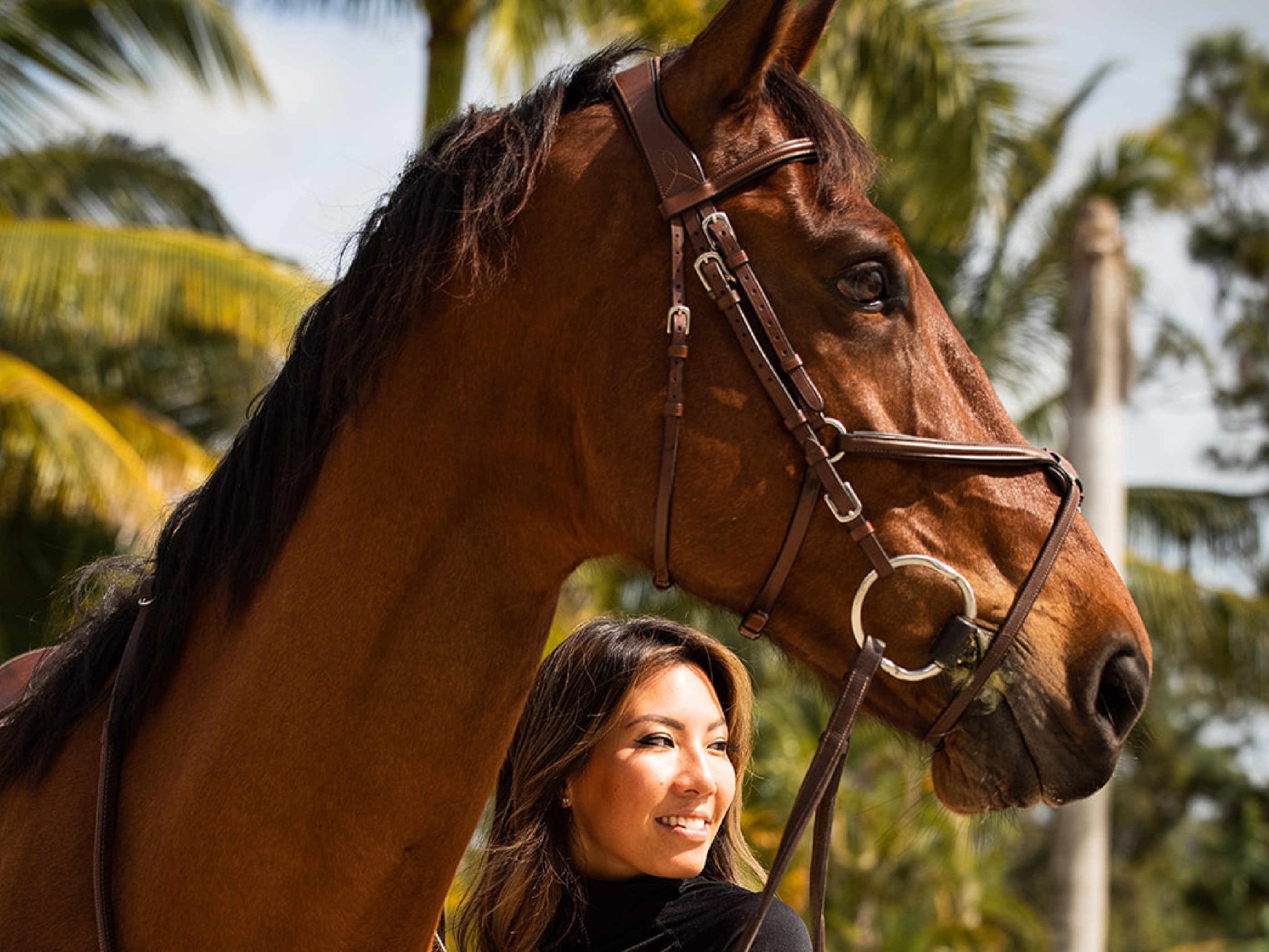 Neue Studie beweist: Pferde können unsere Gefühle lesen, sie verstehen und sich merken!