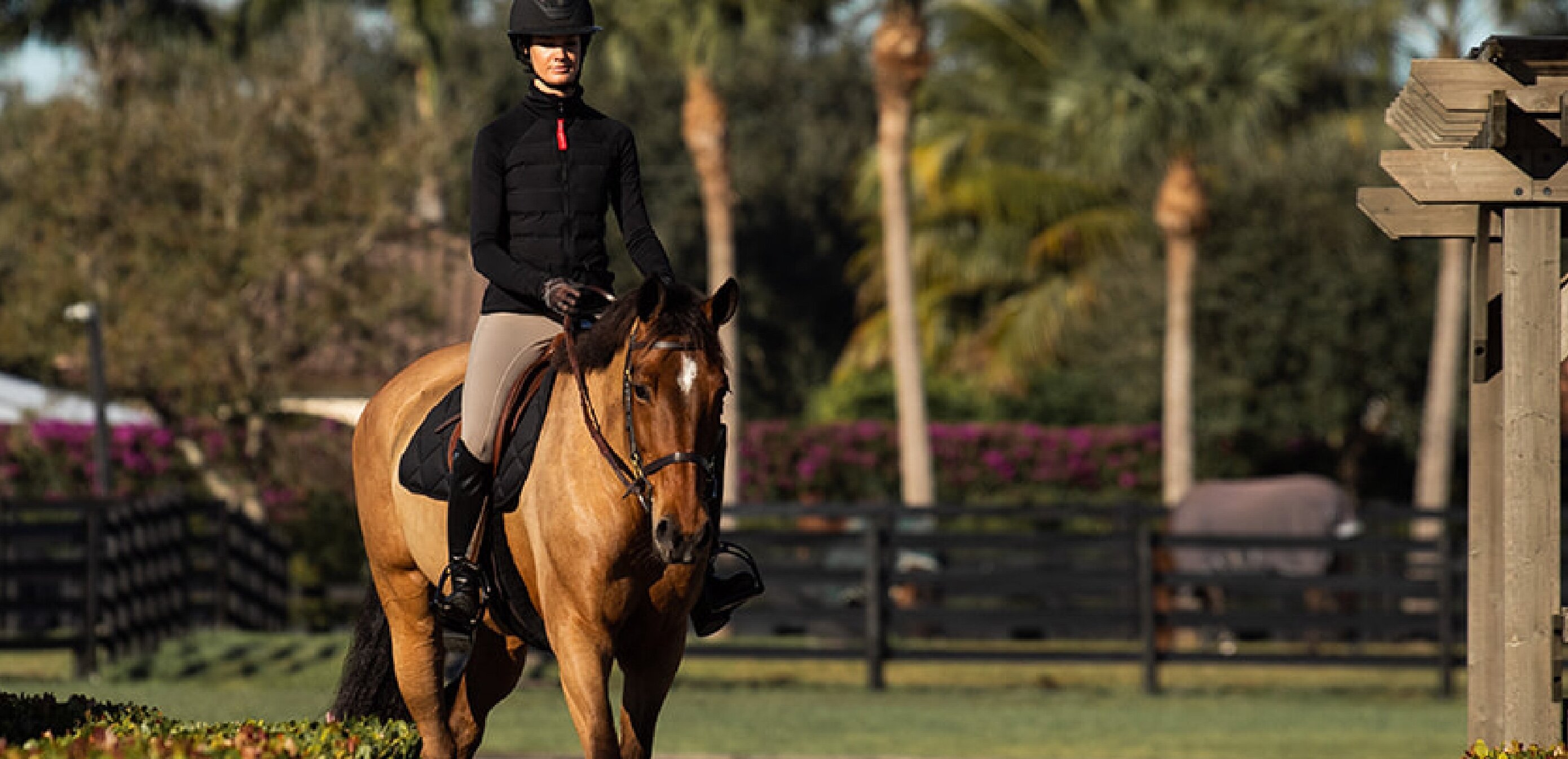 Hitzschlag beim Pferd erkennen und vermeiden: Symptome, Erste Hilfe & Tipps