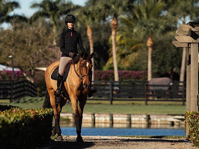 Hitzschlag beim Pferd erkennen und vermeiden: Symptome, Erste Hilfe & Tipps