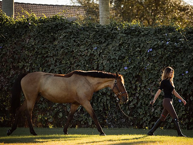 Kolik beim Pferd: Ursachen, Symptome & wirksame Vorbeugung
