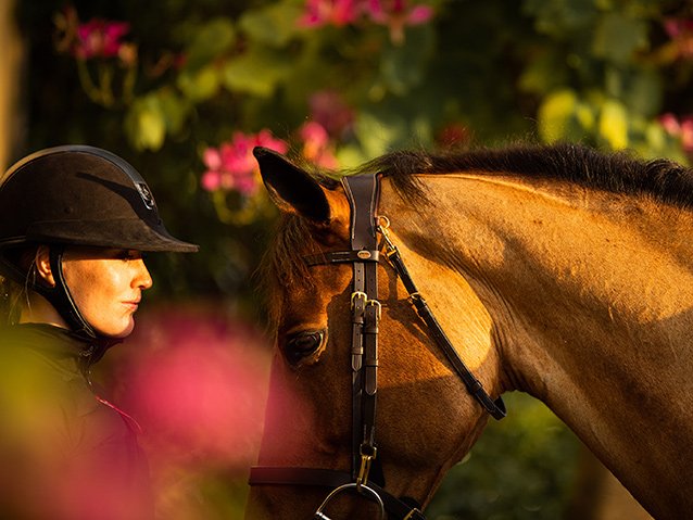 Lauschangriff beim Pferd: Tierärztin erklärt die Ohren des Pferdes