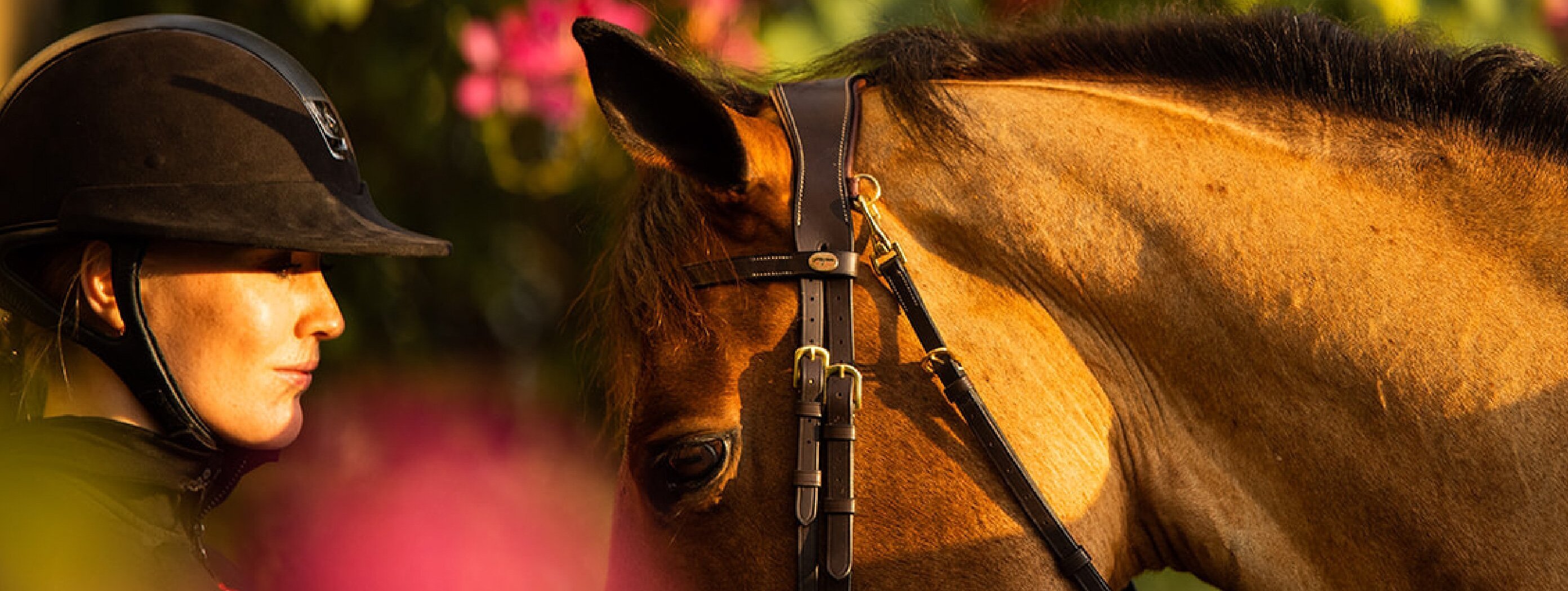 Lauschangriff beim Pferd: Tierärztin erklärt die Ohren des Pferdes