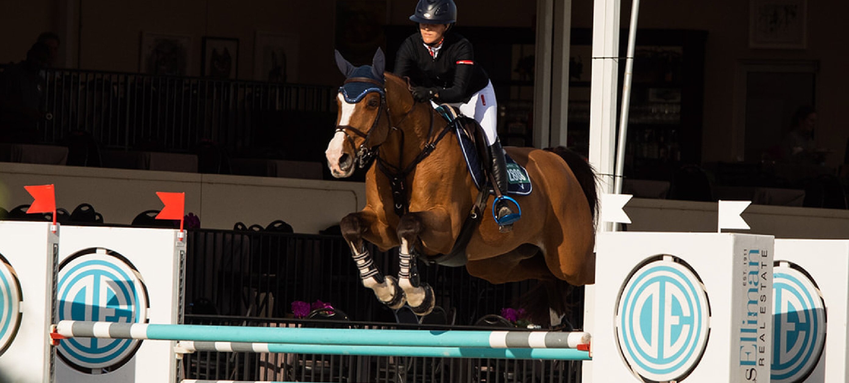 Pferd hat Muskelkater? Symptome, Behandlung und Trainingstipps vom Tierarzt