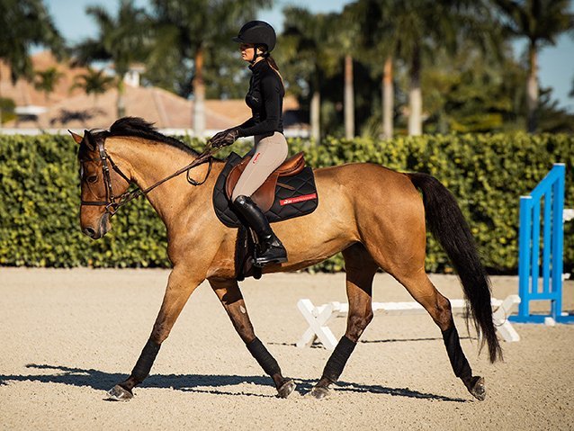 REGGINGS® 2025 – Die Vorteile moderner Reitleggings 