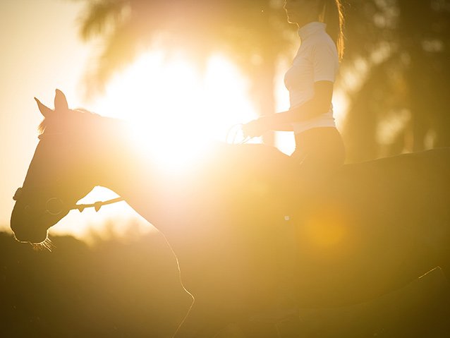 Studie enthüllt: Warum Reiten uns glücklich macht