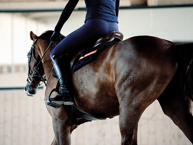 Alerte tendance pour les cavaliers : la collection hiver du legging d’équitation respirant!