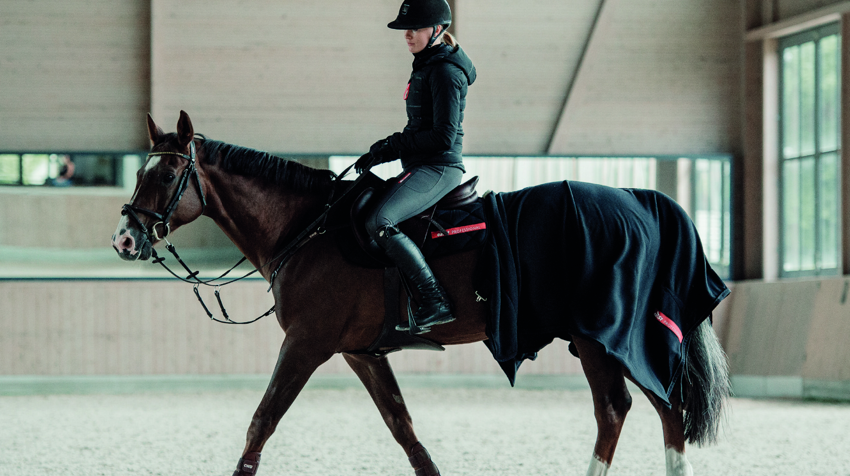 Reitbekleidung für den Winter: Winter-Reggings® und Reitjacken