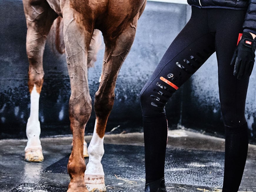 Tierärztin erklärt: Wie man Lahmheit durch Schalen beim Pferd erkennt
