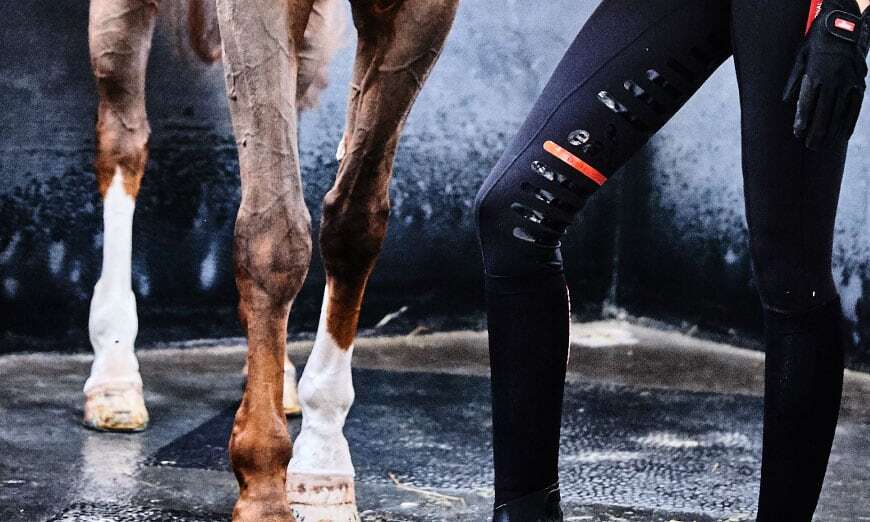 Tierärztin erklärt: Wie man Lahmheit durch Schalen beim Pferd erkennt