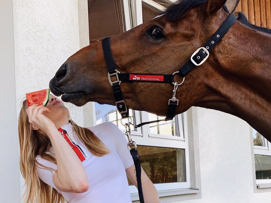 Sommerhitze? So bleibt dein Pferd cool – mit Pferdeeis & Co.