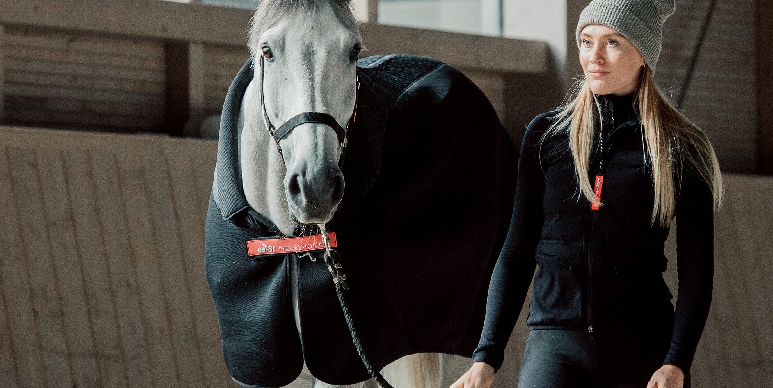 Pferd eindecken im Herbst – Tierärztin erklärt, worauf es ankommt