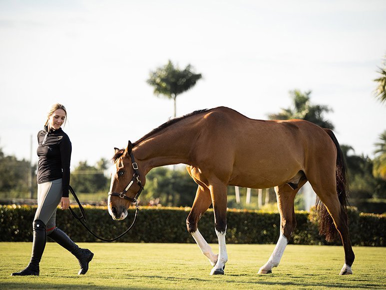 Tierärztin erklärt: So entwurmst Du Dein Pferd richtig vor der Weidesaison!