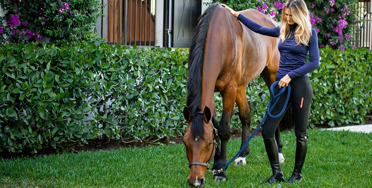 Tierärztin erklärt: So lästig sind Grasmilben für Pferde!