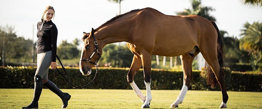 Tierärztin erklärt: So entwurmst Du Dein Pferd richtig vor der Weidesaison!